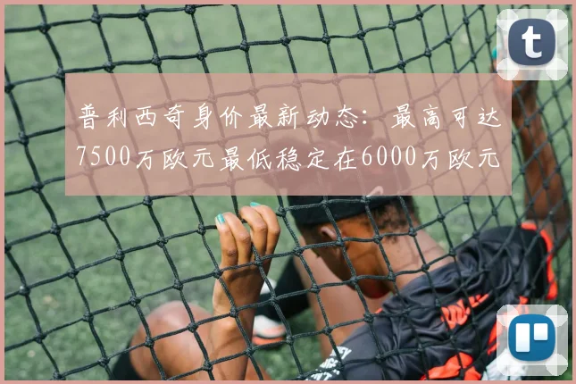普利西奇身价最新动态：最高可达7500万欧元最低稳定在6000万欧元